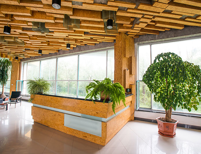 5a715a8e06897.jpg 5.jpg