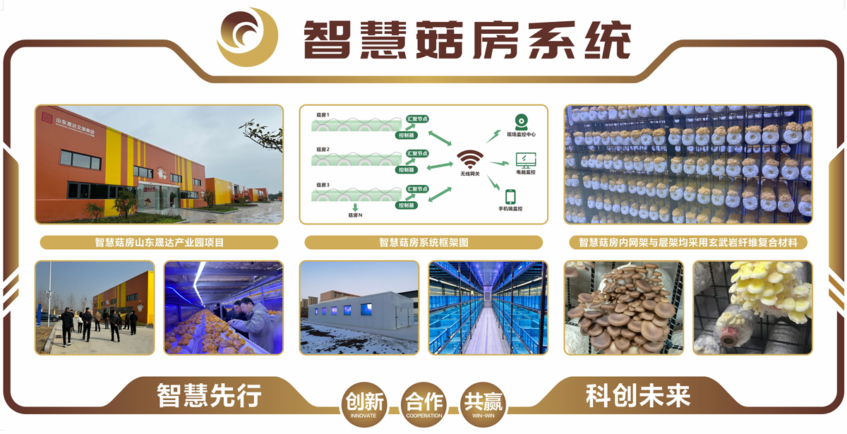 680ee7f6547cc.jpg 02.jpg